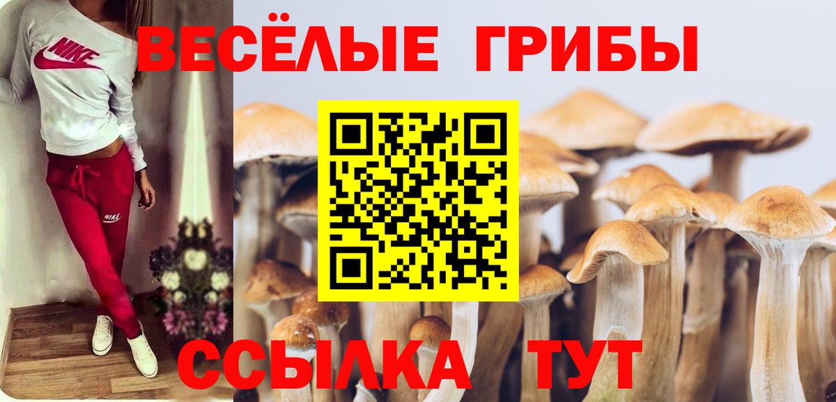 Псилоцибиновые грибы GOLDEN TEACHER Улан-Удэ