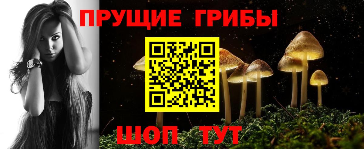 Улан-Удэ  Псилоцибиновые грибы MAGIC MUSHROOMS  Вход с VPN 